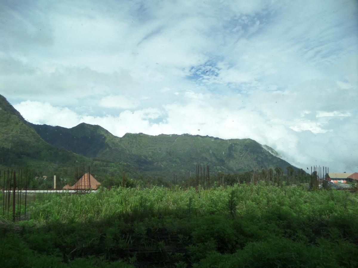 Bromo Permai 1 Hotell Exteriör bild