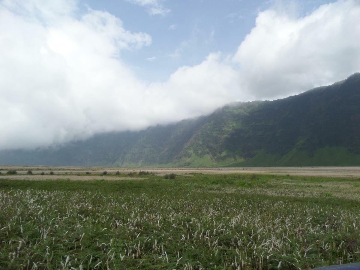 Bromo Permai 1 Hotell Exteriör bild