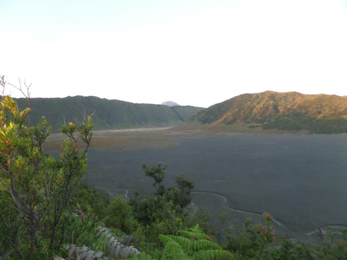 Bromo Permai 1 Hotell Exteriör bild