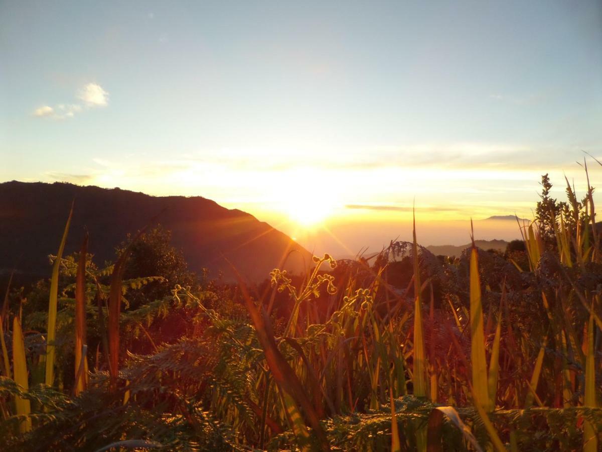 Bromo Permai 1 Hotell Exteriör bild