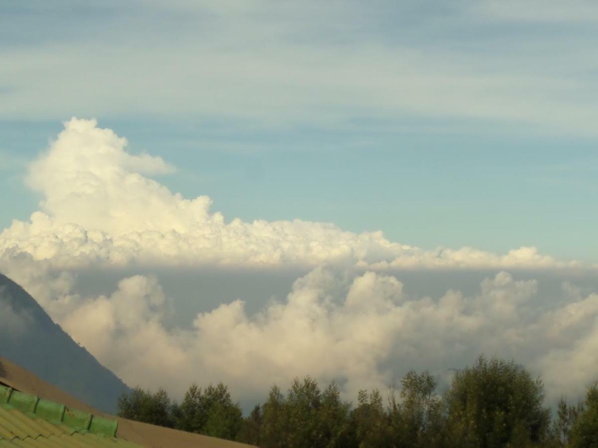 Bromo Permai 1 Hotell Exteriör bild